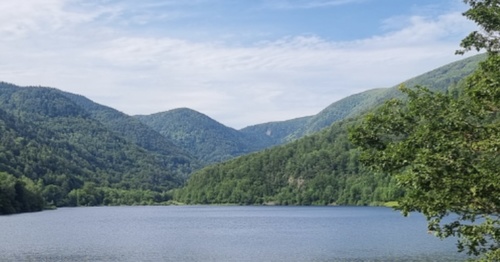 Large vosges  1200