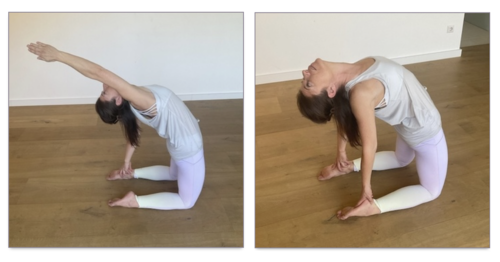 Large nathalie backbends