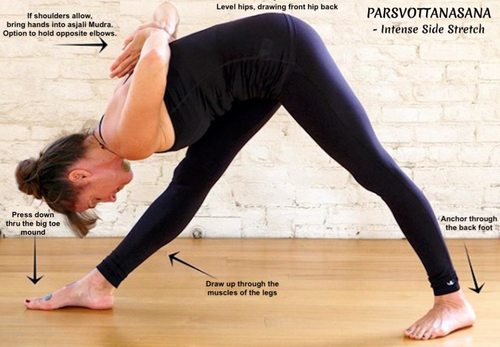 Large making ashtanga primary accessible
