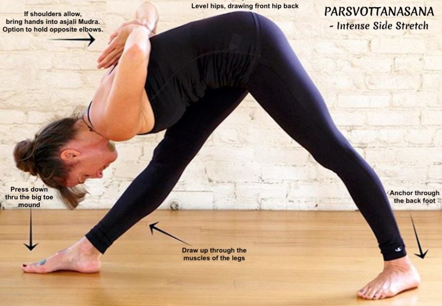 Xxl making ashtanga primary accessible